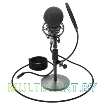 Микрофон Ritmix RDM-175 картинка 2